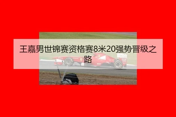 wang-jia-nan-shi-jin-sai-zi-ge-sai-mi-qiang-shi-jin-ji-zhi-lu-2-223.jpg