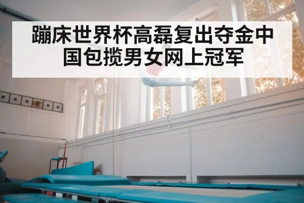 蹦床世界杯高磊复出夺金中国包揽男女网上冠军